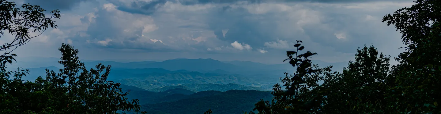 Page banner background